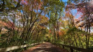 Minuteman Bikeway Bedford MA Oct 19, 2023
