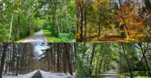 Minuteman_Bikeway ‣ I Have An Idea Minuteman Bikeway in all four seasons