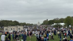 IMG_8656 ‣ I Have An Idea 4/5/2025, Washington D.C. HandsOff Rally